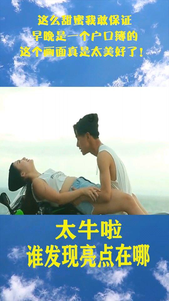 寂静森林找星星